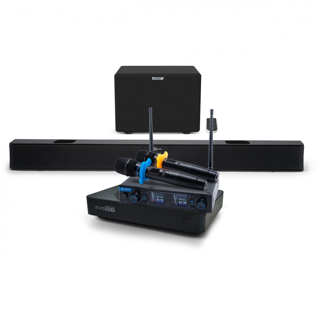 Hi-End караоке-система EVOBOX Premium + EvoSoundBar (саундбар с караоке) в Тамбовской области