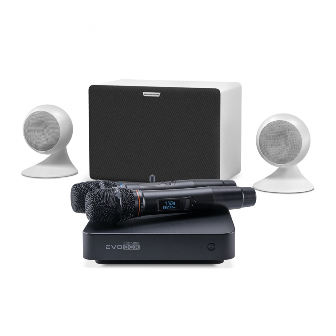 караоке-комплект EVOBOX Classic + EvoSound Sphere 2.1 в Тамбовской области