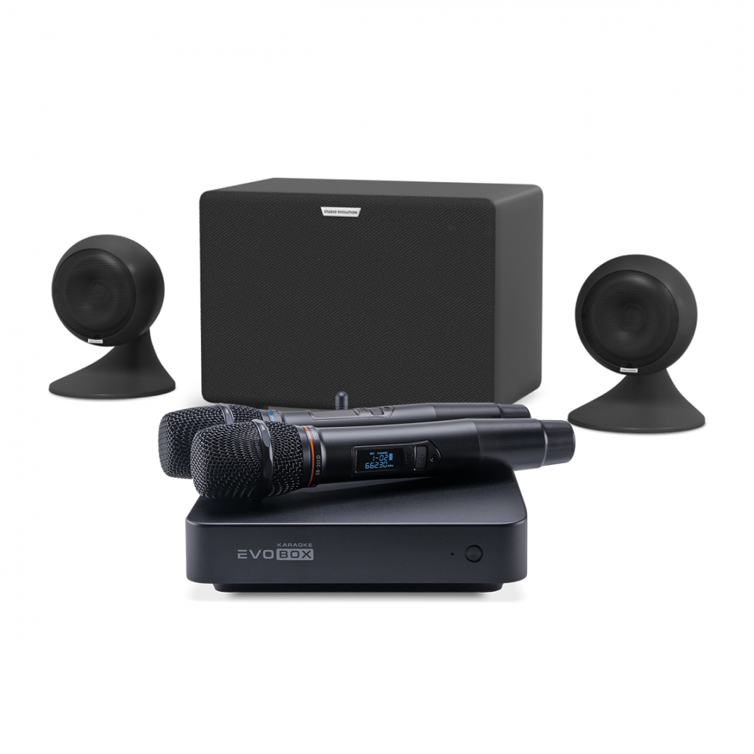 караоке-комплект EVOBOX Plus + EvoSound Sphere 2.1 в Тамбовской области