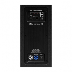 Активная акустическая система AST-310A в Тамбовской области