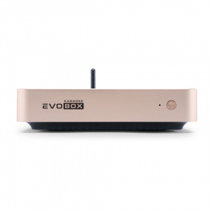 EVOBOX Plus караоке-система для дома в Тамбовской области
